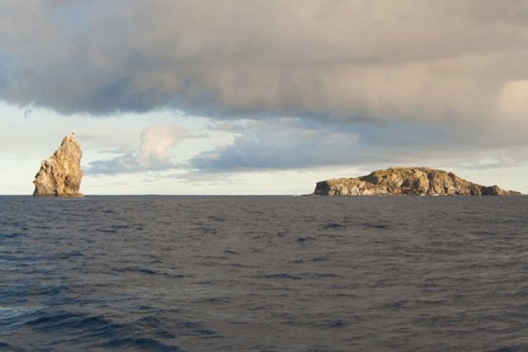 Boat Trip to Birdman Isle