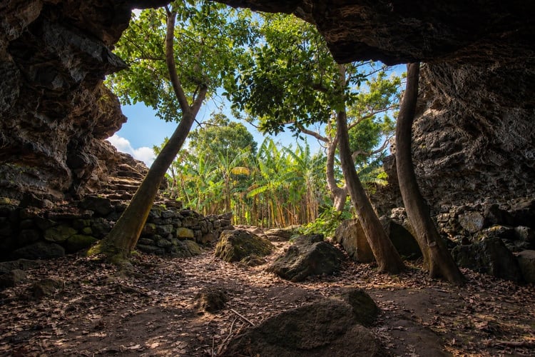 Cave Trip